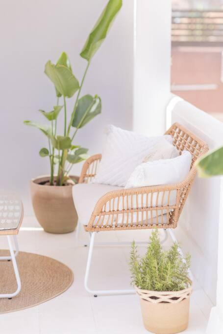Downtown Flat With 46 Sqm Private Rooftop Terrace Málaga Dış mekan fotoğraf